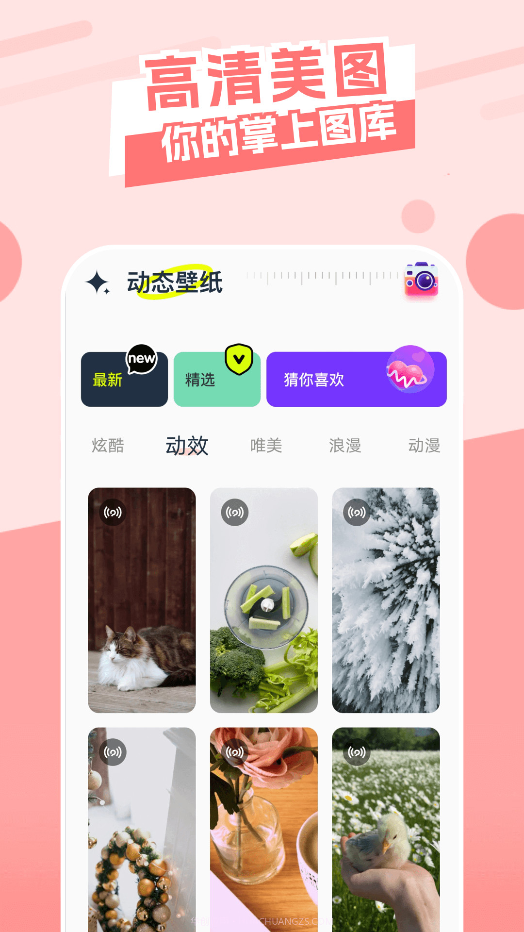 主题库顺来截图2