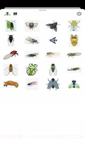 夏蝉截图4 夏蝉截图4