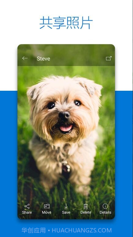 微软网盘截图3 微软网盘截图3