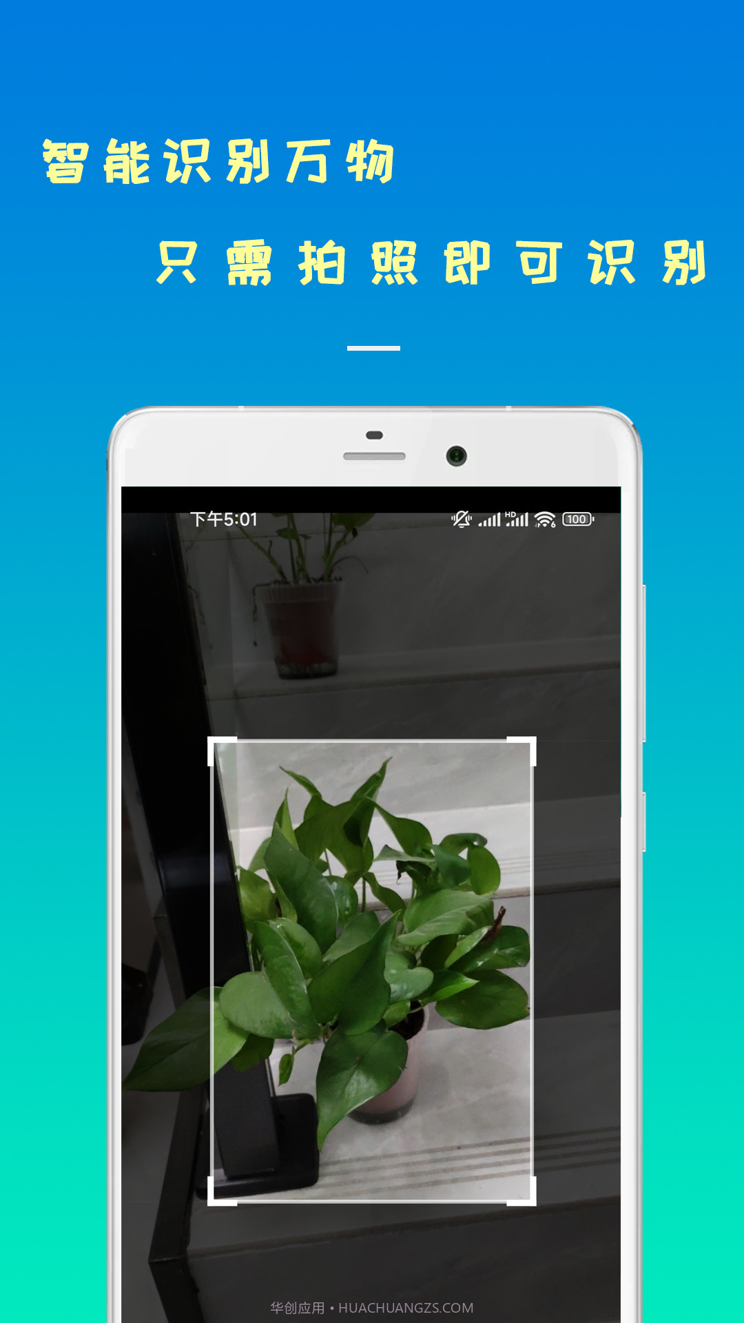 剪易智能识物截图2 剪易智能识物截图2