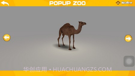 口袋动物园2截图1