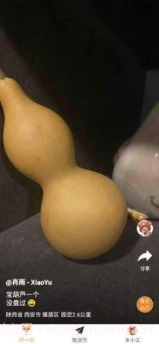 爪玩截图4 爪玩截图4