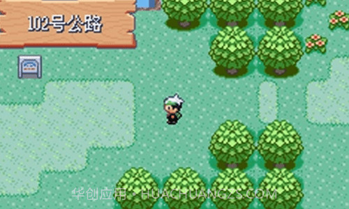 口袋妖怪绿宝石rom截图3