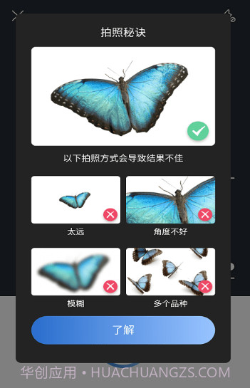 昆虫识别图鉴扫一扫截图2 昆虫识别图鉴扫一扫截图2