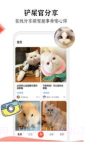 猫猫社截图3 猫猫社截图3