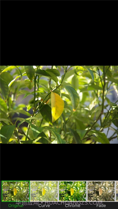 叮当视频图片编辑截图3 叮当视频图片编辑截图3