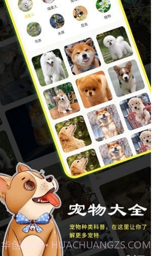 橙猫截图1 橙猫截图1