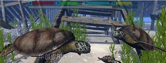 终极海豚模拟器截图1 终极海豚模拟器截图1