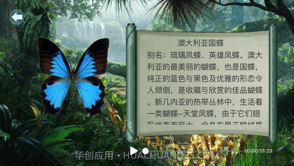 AR互动百科截图2 AR互动百科截图2