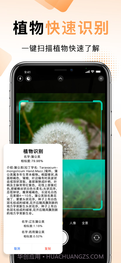 扫描王中王截图8