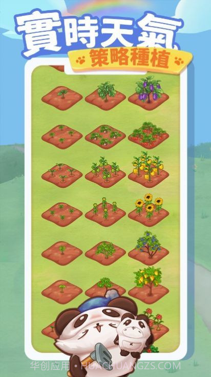 猫咪旅游记截图1