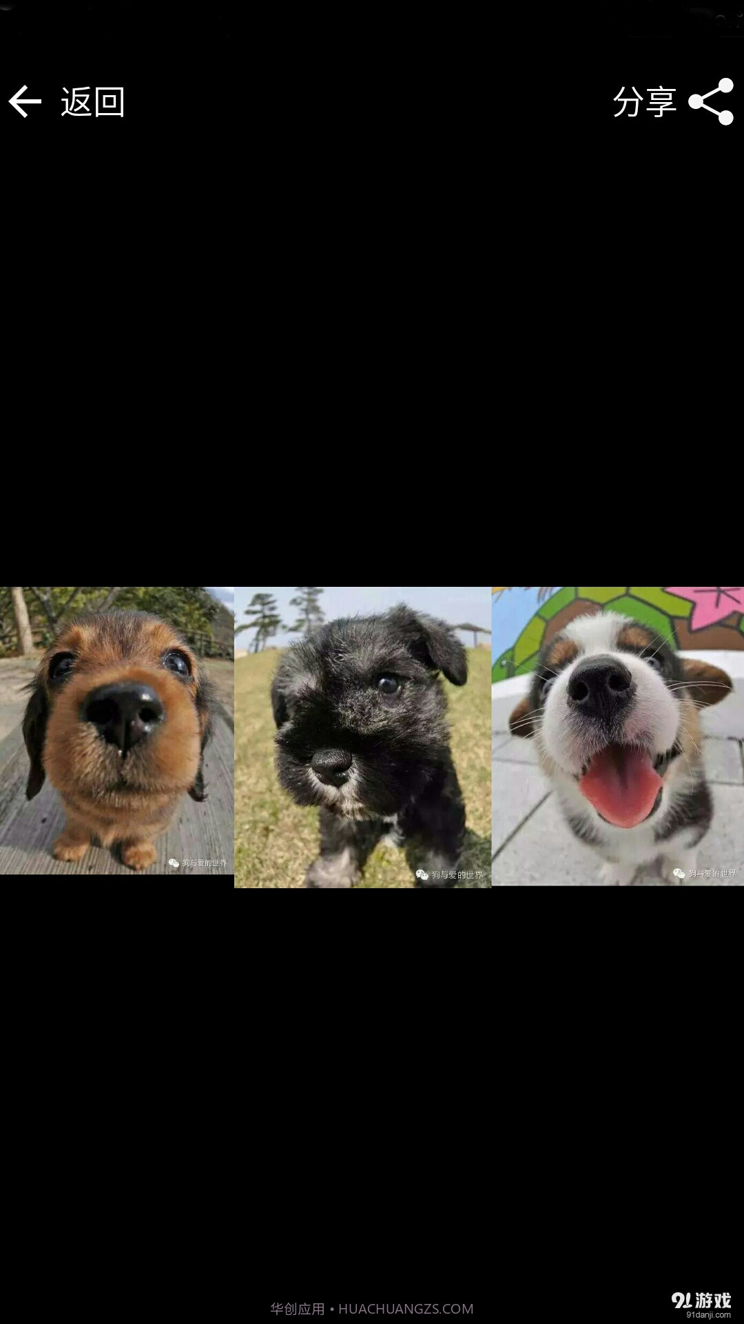 长图生成器截图2 长图生成器截图2