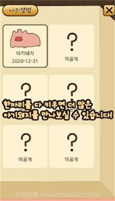 口袋宠物猪截图1