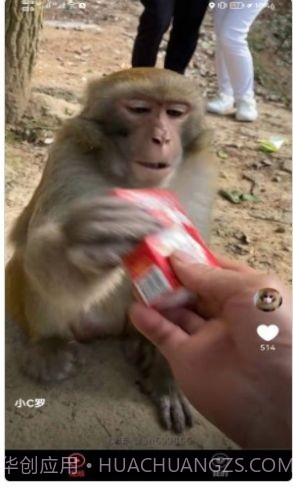 宠物趣看截图2 宠物趣看截图2