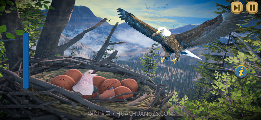 鹰鸟荒野生活模拟截图1 鹰鸟荒野生活模拟截图1