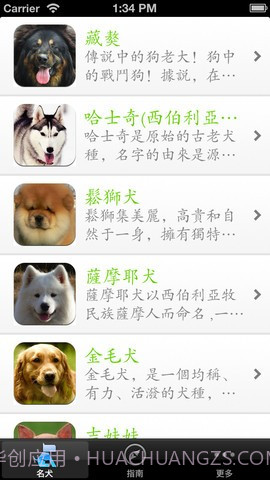 世界名犬大全截图5 世界名犬大全截图5