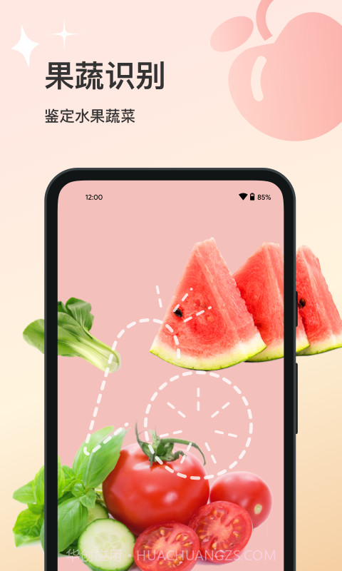 花卉识别截图3 花卉识别截图3