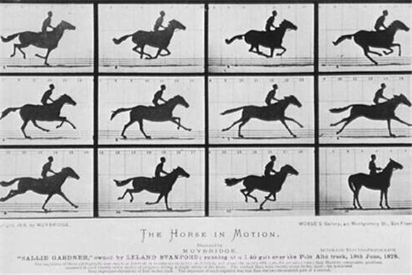 犯罪冲突疯狂的圣安地列斯截图4 犯罪冲突疯狂的圣安地列斯截图4