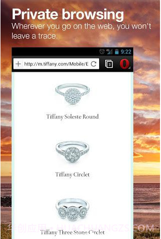 Opera Beta截图4 Opera Beta截图4