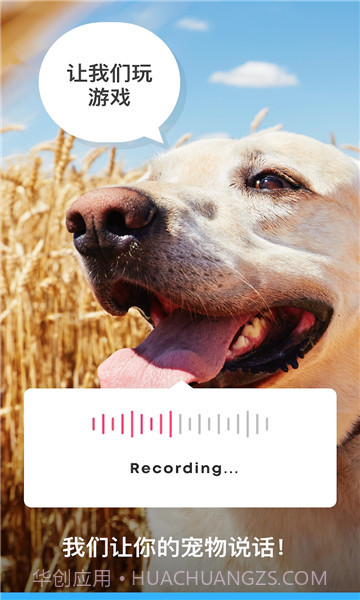 达夫翻译截图2 达夫翻译截图2