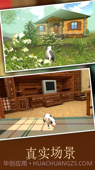 疯狂地鼠3d模拟截图4 疯狂地鼠3d模拟截图4