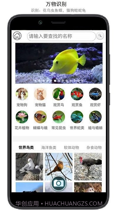 万物识别截图1