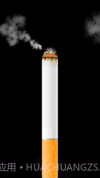 卷烟模拟器截图1 卷烟模拟器截图1