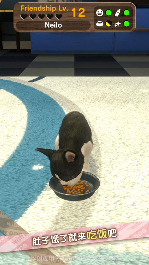 我的梦中情狗截图7 我的梦中情狗截图7