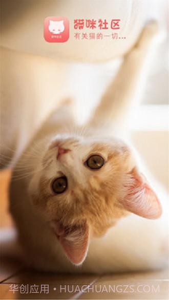 猫咪社区截图3 猫咪社区截图3