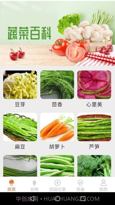 口袋田园百科知识截图1 口袋田园百科知识截图1