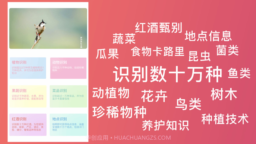 超强识别截图3 超强识别截图3