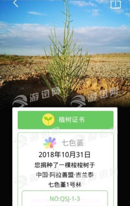 七色堇截图2 七色堇截图2