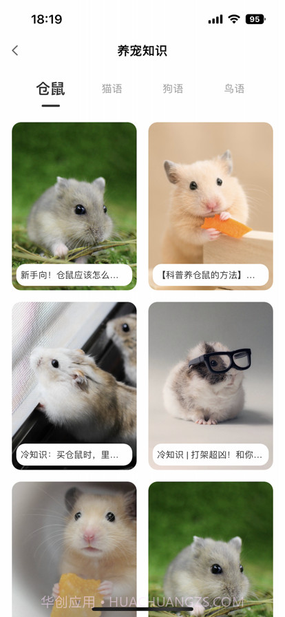 我的仓鼠日常截图1 我的仓鼠日常截图1