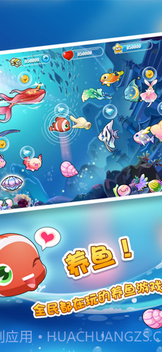 开心水族箱截图1 开心水族箱截图1