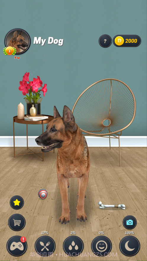 我的狗截图1