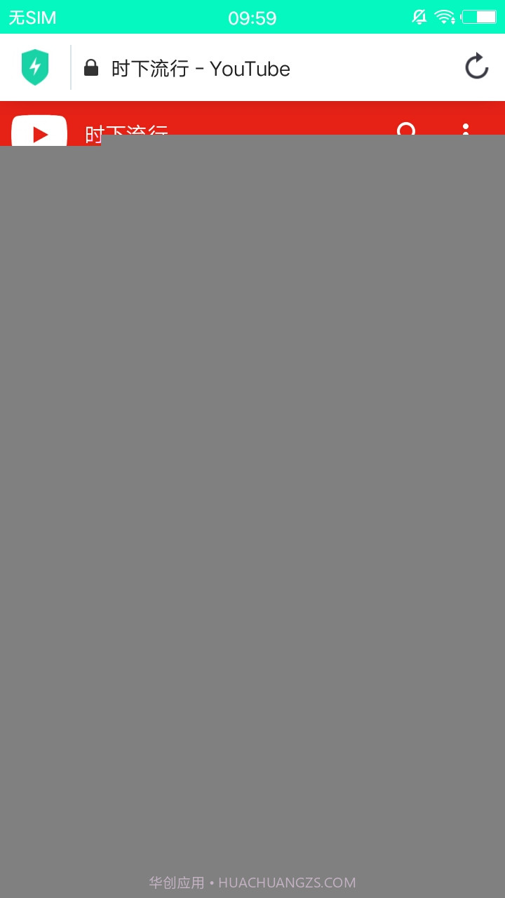 Aloha Lite浏览器截图7