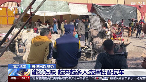 巴豆侠TV截图1 巴豆侠TV截图1