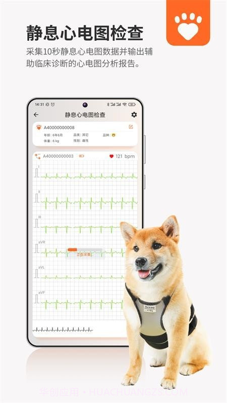 星爱宠截图1 星爱宠截图1