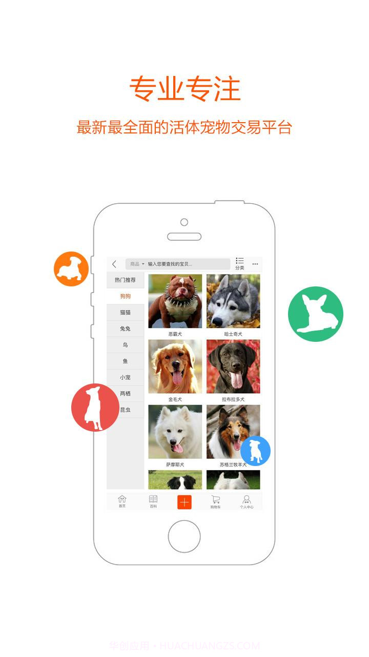 宠族截图3 宠族截图3