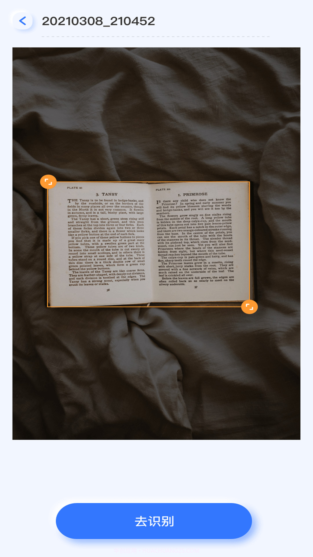 提取图中文字截图2