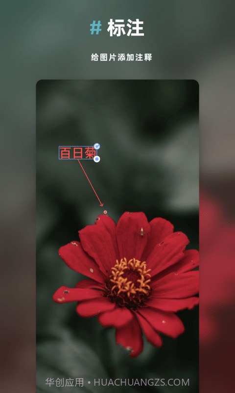 Annotable图片处理截图2