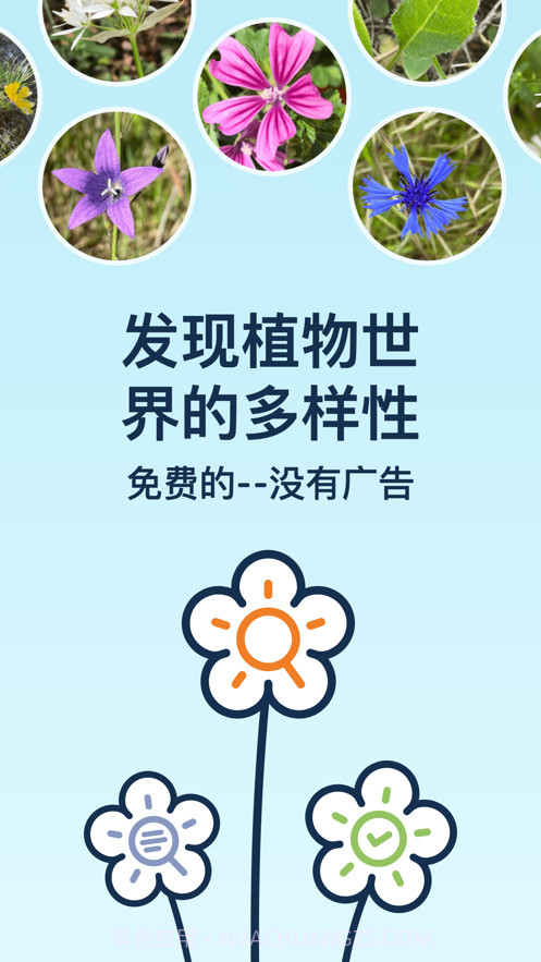 Flora Incognita植物识别截图1