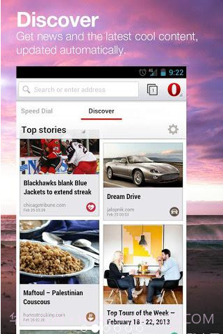 Opera Beta截图2 Opera Beta截图2