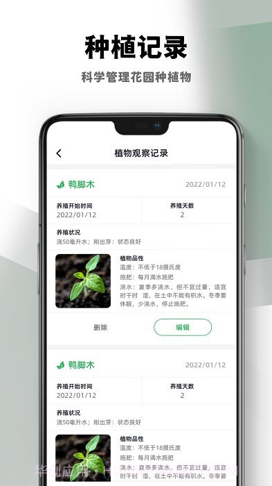 四季花园截图3 四季花园截图3