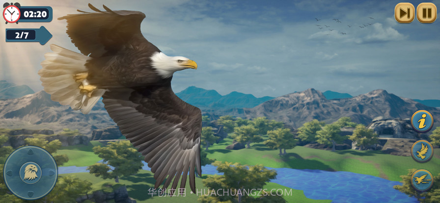 鹰鸟荒野生活模拟截图2 鹰鸟荒野生活模拟截图2