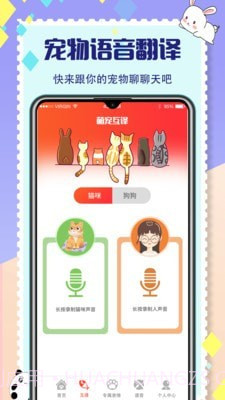 猫咪交流截图2