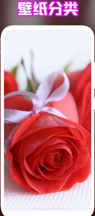 手机能量起源截图2 手机能量起源截图2