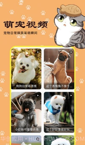 橙猫截图3 橙猫截图3