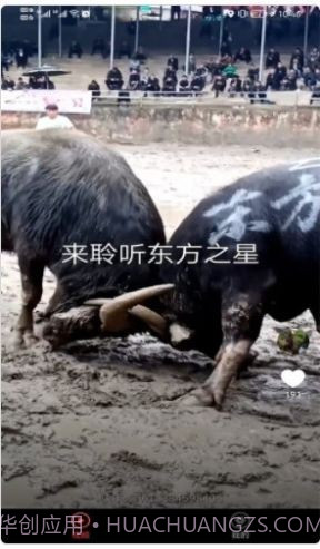 宠物趣看截图1 宠物趣看截图1