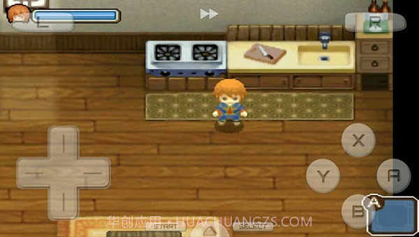 牧场物语双子村截图3 牧场物语双子村截图3